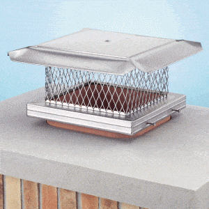 Chimney Cap