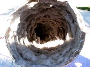 Clogged Dryer Vent